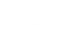 Visual Compass